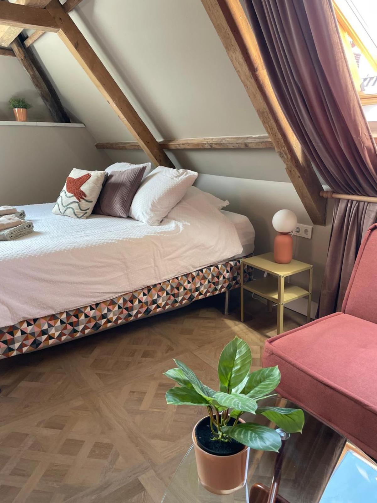 دوكوم B&B Suupmarkt المظهر الخارجي الصورة